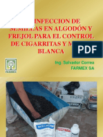 Desinfeccion Frejol Salvador