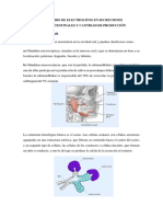 Contenido de Electrolitos en Secreciones Gastrointestinales y Cantidad de Producción