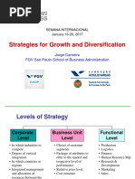 Strat Growth Divers - Diversification