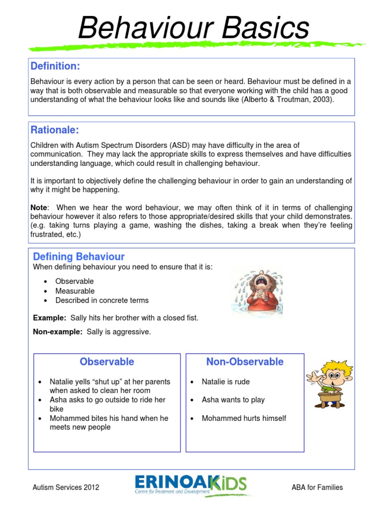 Understanding Behaviour Basics | PDF | Autism | Behavior