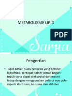 5 Metabolisme Lipid Ppt