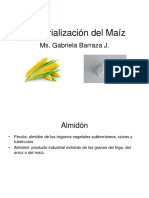 Clase Almidon de MAÍZ