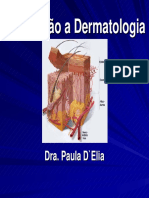 Introdução à Dermatologia: Lesões Elementares