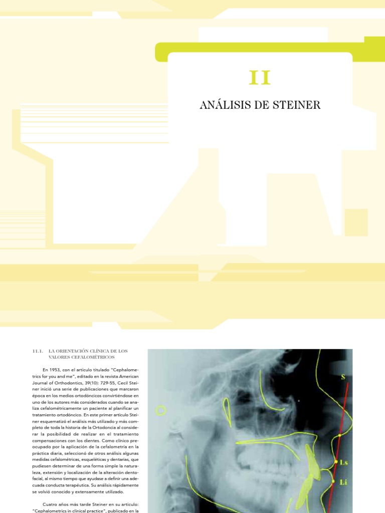 Analisis Cefalometrico de Steiner PDF | PDF | Ortodoncia | Ramas de ...