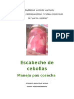 Cebollas en Escabeche