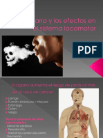 El Cigarro y Los Efectos en El Sistema Locomotor