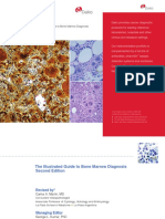 The Illustrate Guide to Bone Marrow Diagnosis 2nd ed Pg 2009.pdf