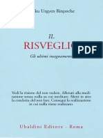 Tulku Urgyen - Il Risveglio PDF