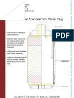 Inflatable Abandonment Packer Plug