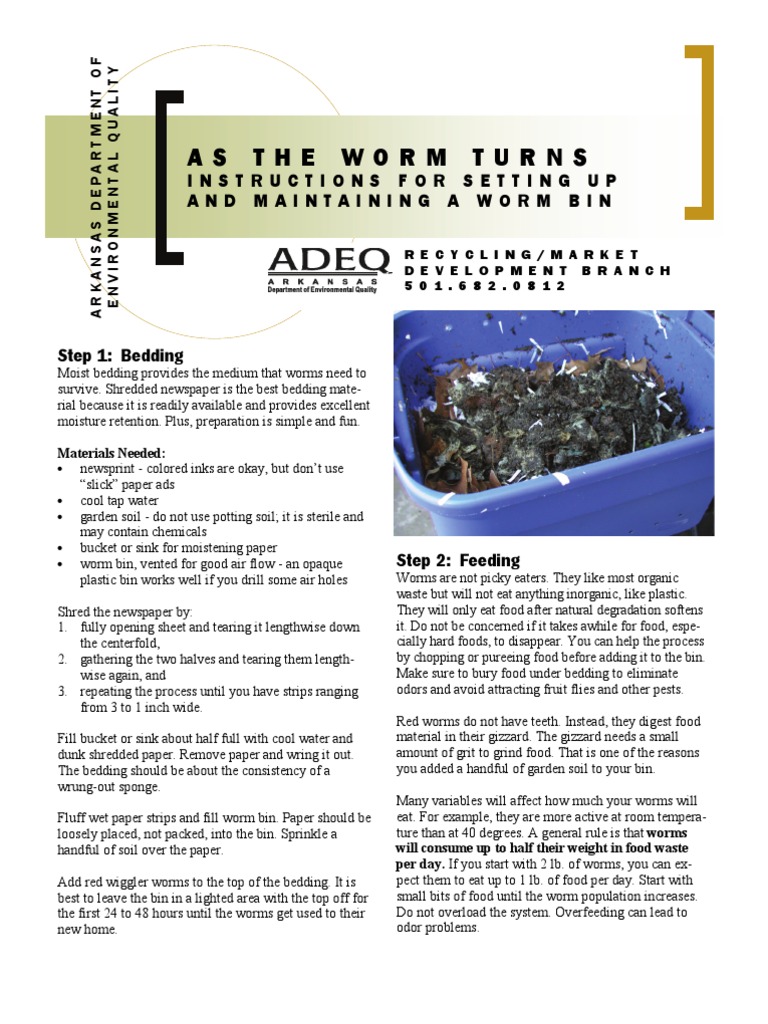 New Look As The Worm Turns Instructions For Setting Up and Maintaining