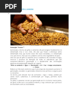 Como Germinar Grãos e Sementes