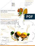 Subthalamic Stimulation HFS Mechanism