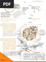 Download Thalamus Deep Brain Stimulation by brain-neuroscience research team SN352699 doc pdf