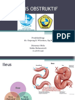 Ileus Obstruktif