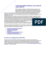 vpn_client_spanish.pdf