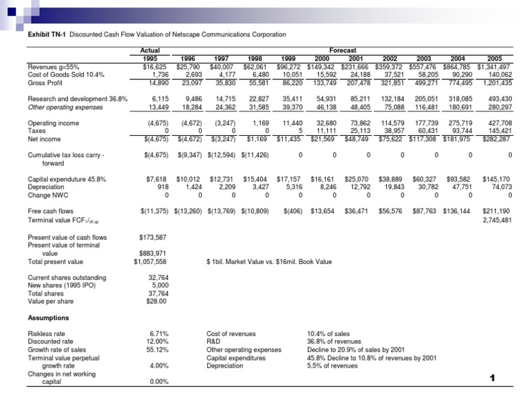 Netscape Valuation For IPO... PV of FCFs PDF Depreciation Revenue