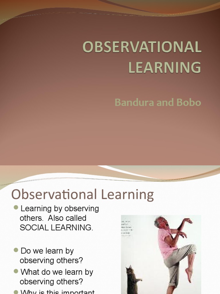 Observational Learning and the Bobo Doll Experiment | PDF | Imitation ...