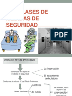 Las Clases de Medidas de Seguridad