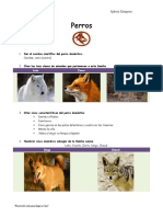 Perros - Especialidad PDF