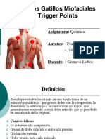 Puntos Gatillos Miofaciales