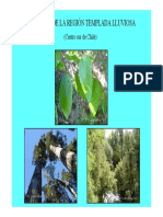 Bosques Templados PDF
