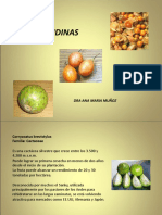 Frutas Andinas