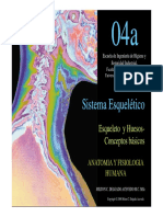 04a 04a 04a 04a: Sistema Esquelético Sistema Esquelético Sistema Esquelético Sistema Esquelético