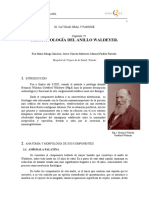 Fisiopatología Del Anillo Waldeyer PDF