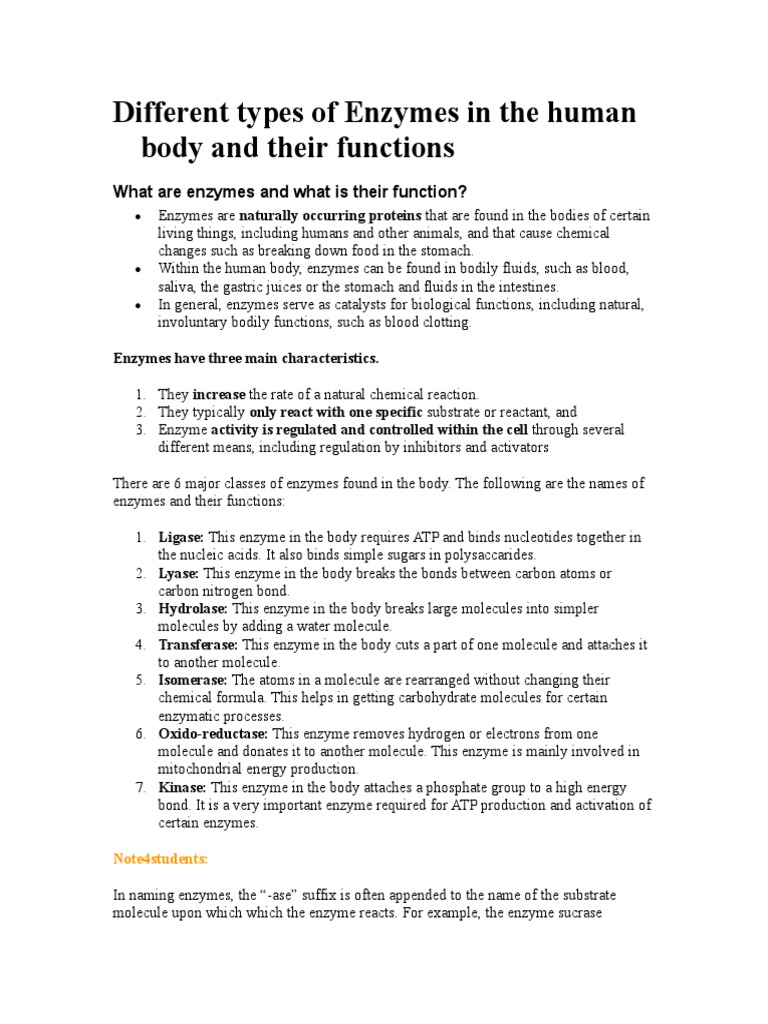Different Types of Enzymes in The Human Body and Their Functions PDF