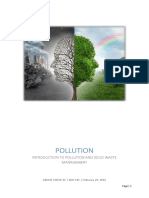 Envi Report Group4 Pollution