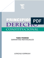 265014067-Principios-De-Derecho-Constitucional-pdf.pdf