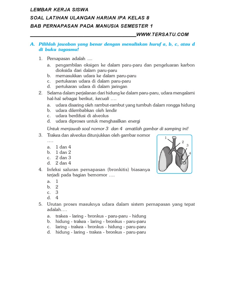 Soal Pernapasan K13 Kls 8