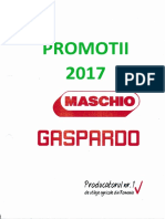 Promo Maschio