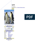 Emperor Penguin