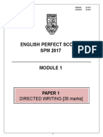 Essay MOdule 2017.docx