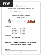 Production of Biodiesel