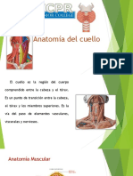 Presentacion Anatomia Del Cuello 1