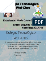 Carnet Primaria