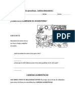 cadena alimentaria.doc