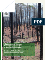 ¿Recuperando Bosques o Plantando Incendios?