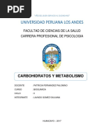 CARBOHIDRATOS Y METABOLISMO - MONOGRAFIA