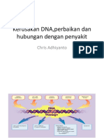 Perbaikan Dna