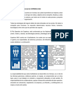 Plan Operativo Institucional de COPEINCA SAC
