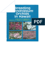 Breeding Dendrobium in Hawaii