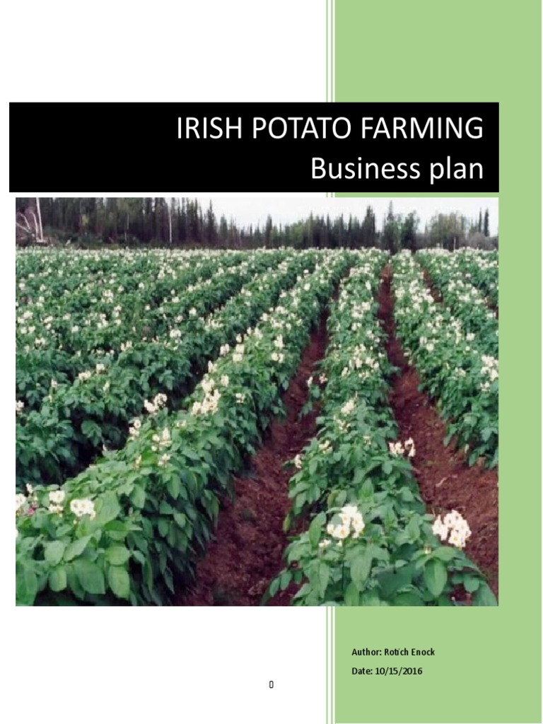 potato farming business plan (pdf download)