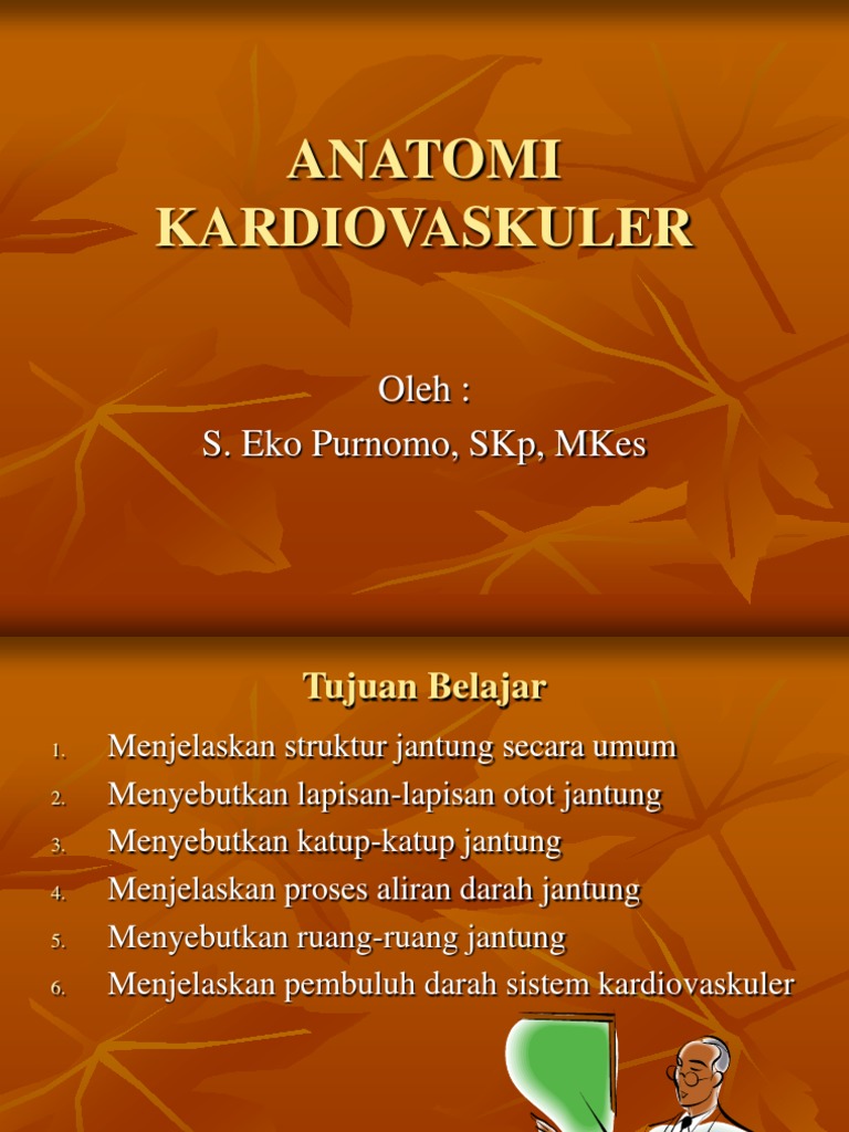 Darah Yang Kaya Co2 Terdapat Pada Ruangan Jantung - Berbagai Ruang