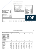 Equity Analysis of A Project: Capital Budgeting Worksheet