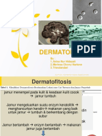 Dermatofitosis