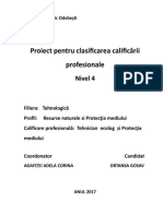 Poluarea Atmosferei Cu Oxizi de Sulf Brumaru