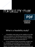 What is a feasibility study